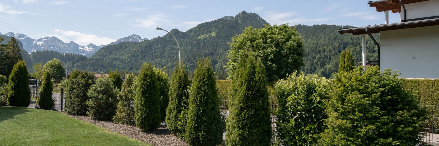Gepflegter Rasen mit Thuja-Reihe und Strauchbepflanzung vor Allgäuer Bergpanorama in Oberstdorf
