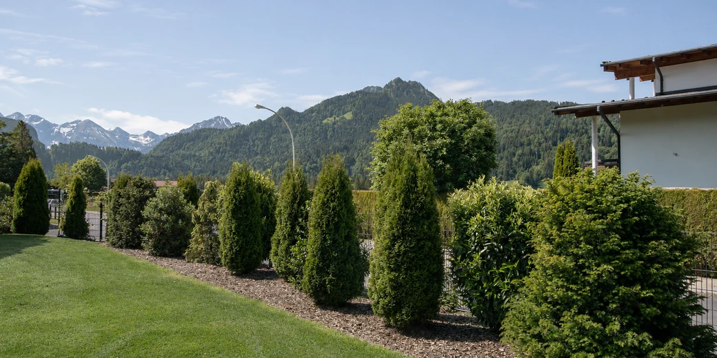 Gepflegter Rasen mit Thuja-Hecke und Bepflanzung vor Allgäuer Bergpanorama