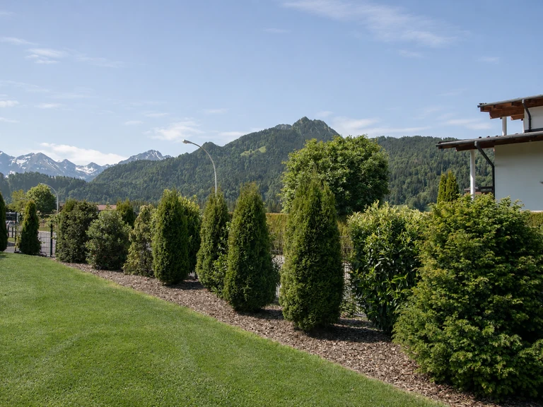 Gepflegter Rasen mit Thuja-Hecke und Bepflanzung vor Allgäuer Bergpanorama